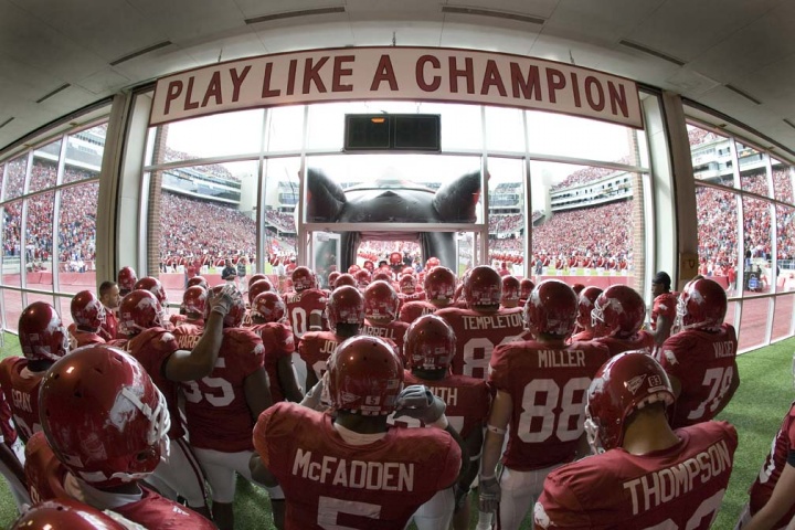 HOGS&nbsp;IN&nbsp;TUNNEL