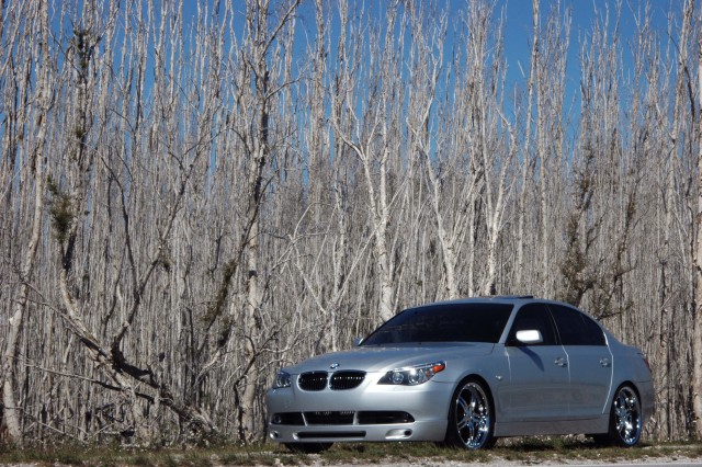 BMW&nbsp;IN&nbsp;THE&nbsp;STICKS